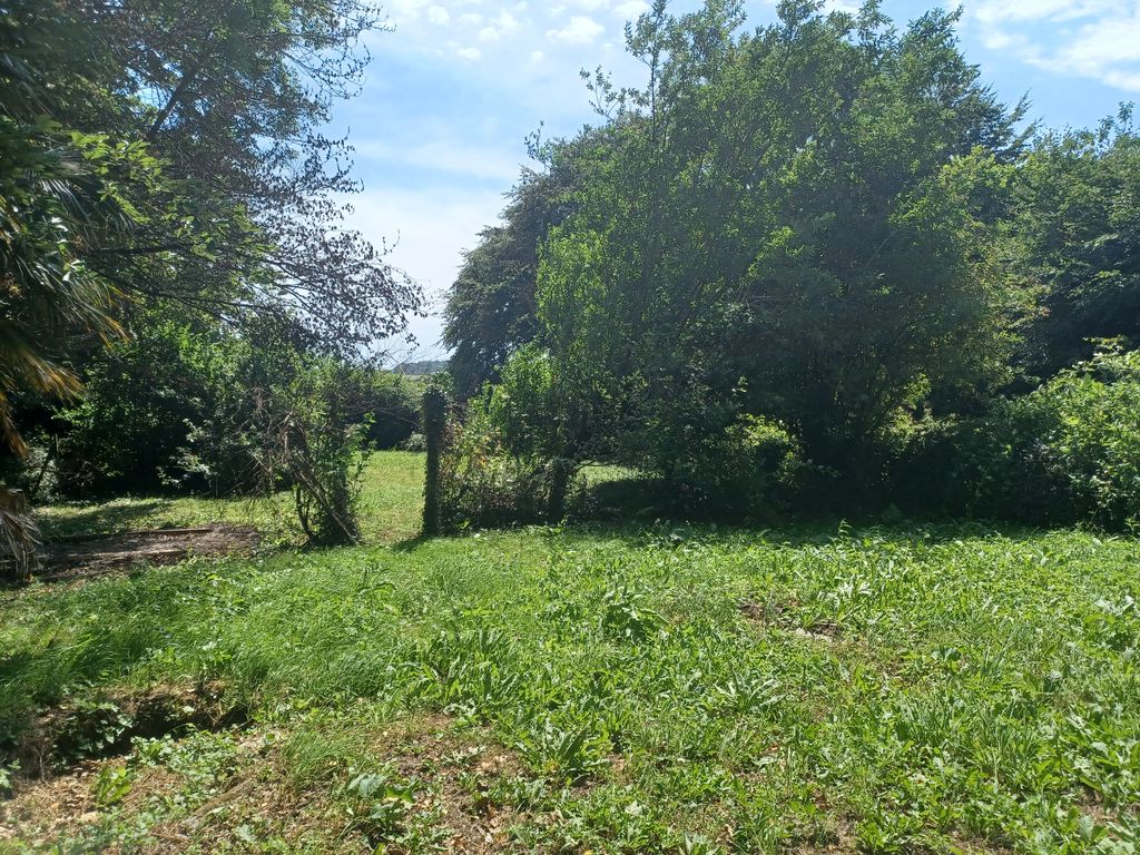  Boconnoc
